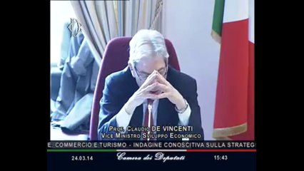 Roma - Strategia energetica, audizione Viceministro De Vincenti (24.03.14)