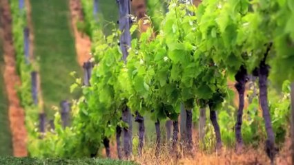 001 Surat Al-Fātiĥah (The Opener) - سورة الفاتحة Quran Recitation