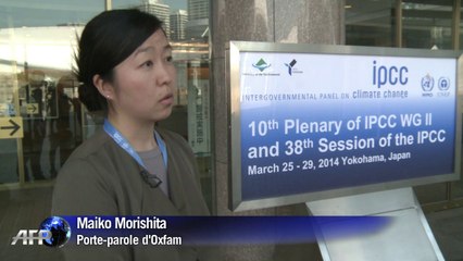 Les experts du Giec au chevet du climat à Yokohama