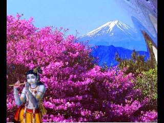 Старый Друг