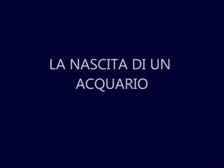 Primi consigli sulla nascita STRUTTURALE di un acquario, by Acquario Pesci