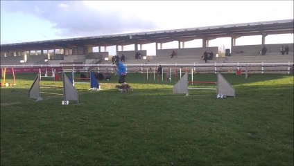 Fever Concours du Lion d'Angers 2014-03-23