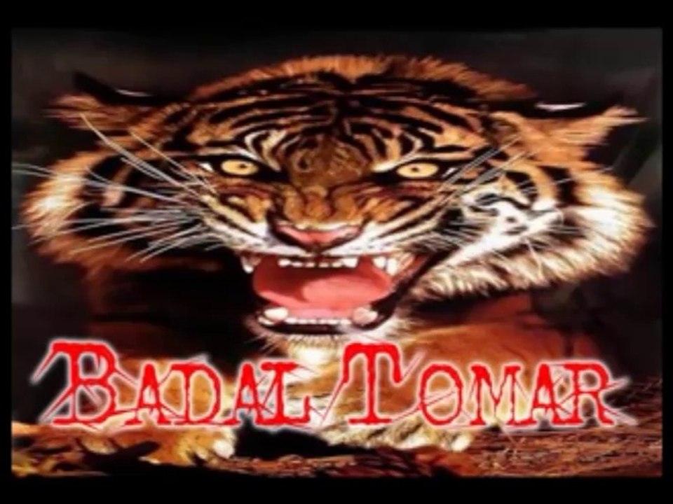 Jaata Ka Chora | Jaat Ka Chora | Jatta Ka Chora Song Video