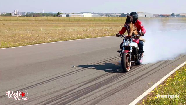 Rolf Circus Drift : Teaser Circuit Fontenay Le Comte