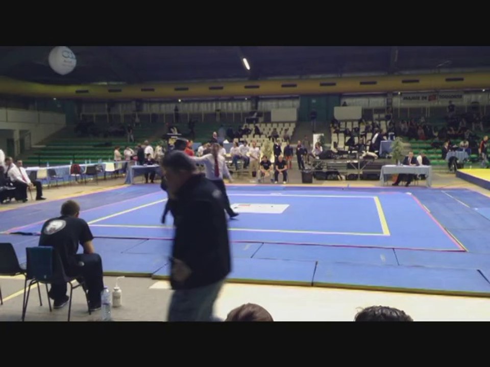 Championnat de France Sanda Toulouse 2014 Finale Maz round 1