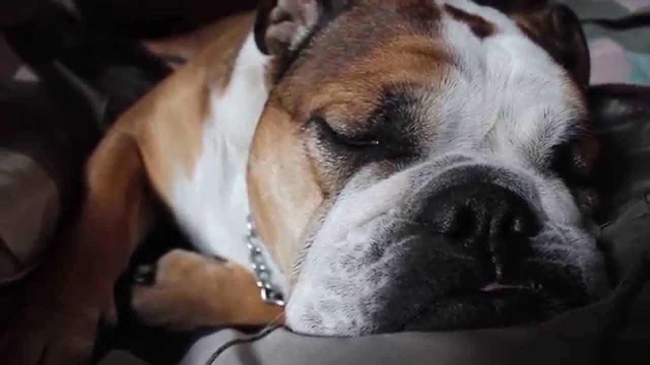 kinda everywhere | Vlogs