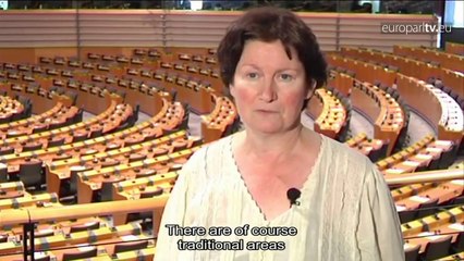 The building blocks of the European Parliament