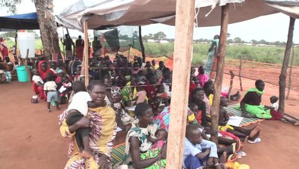 Distribution alimentaire et mise en place de programmes nutritionnels spécifiques