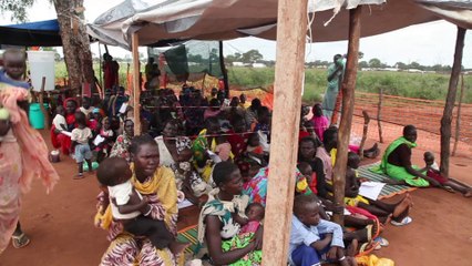 Coordination avec les différents partenaires