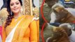 SHOCKING: Actress Nagma Molested & Kissed By Congress MLA! | | Hindi Latest News | Meerut