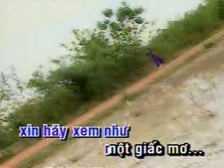 Hay Xem Nhu Mot Giac Mo - Ha vi