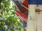 Our International flags flying in the breeze at Big Lee's Beach Bar, Puerto Plata, D.R.