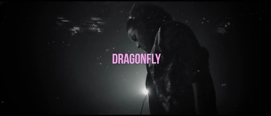 Dash Berlin & Carita La Nina - Dragonfly (Official Music Video)