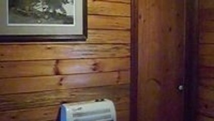 Baby Raccoon Showers on Bearded Man’s Shoulder