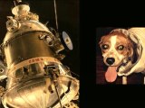 Espectacular abducción de perro 100% real - Aliens abduct dog
