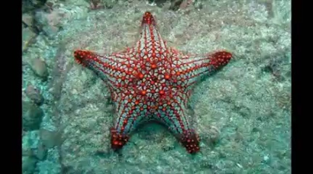 visite au centre du milieu Naturel