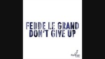 Fedde Le Grand - Don't give up
