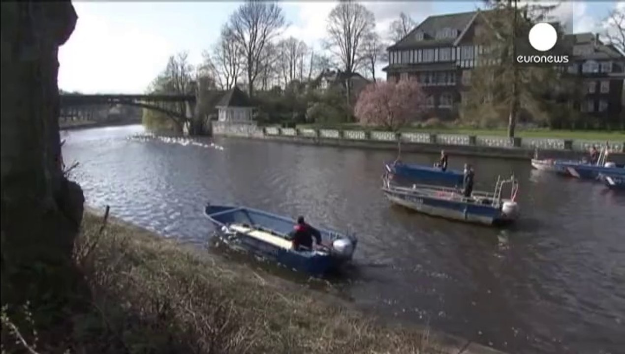 Hamburg'da baharı kuğular getirdi