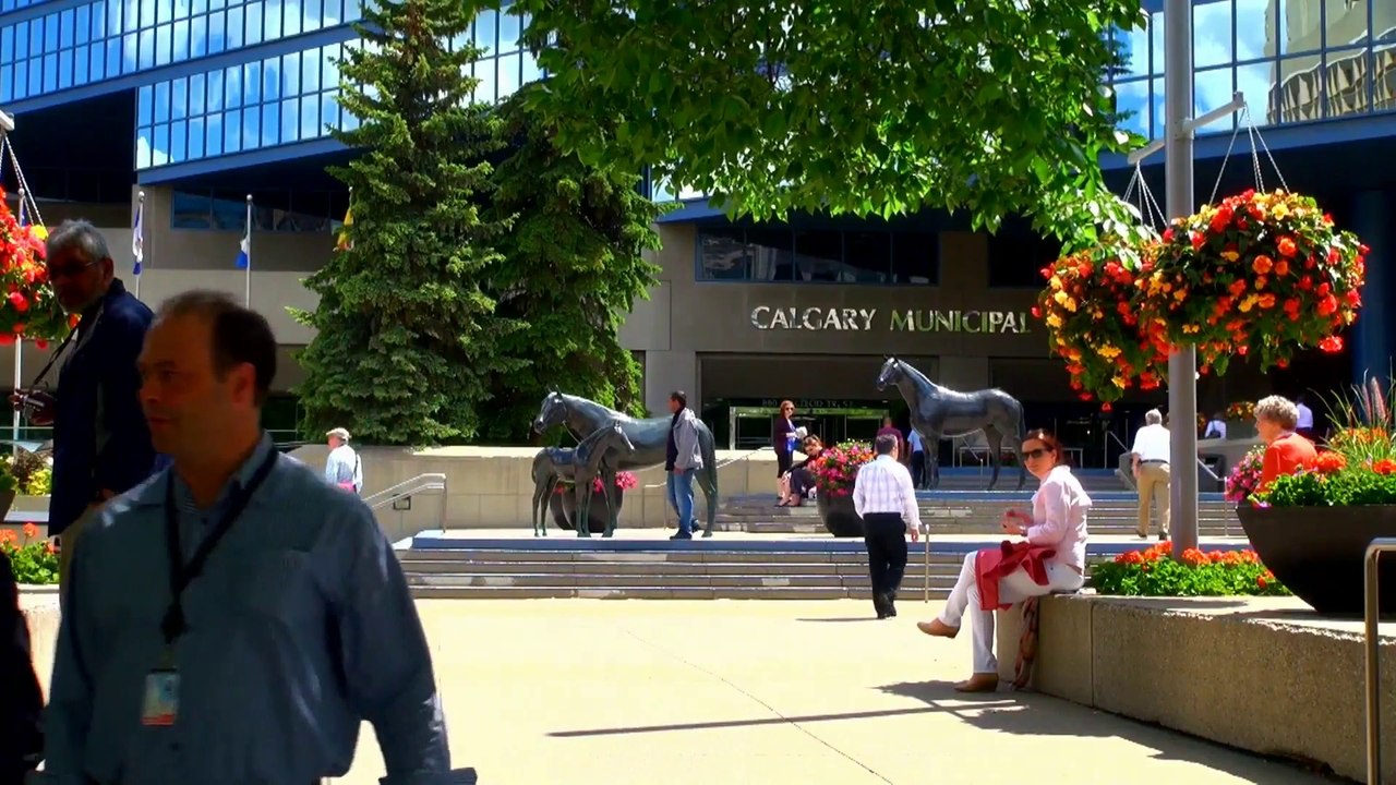 From C-Train to City Hall in Calgary.