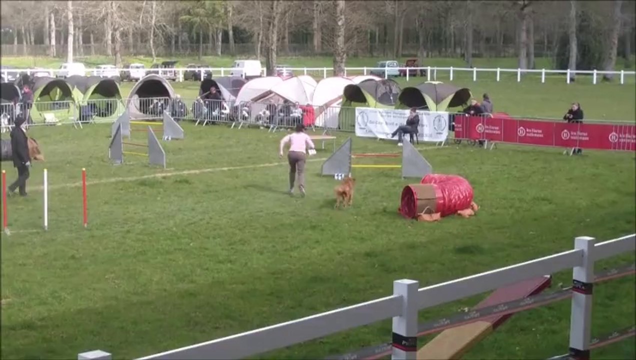 Bullit Concours du Lion d'Angers 2014-03-23