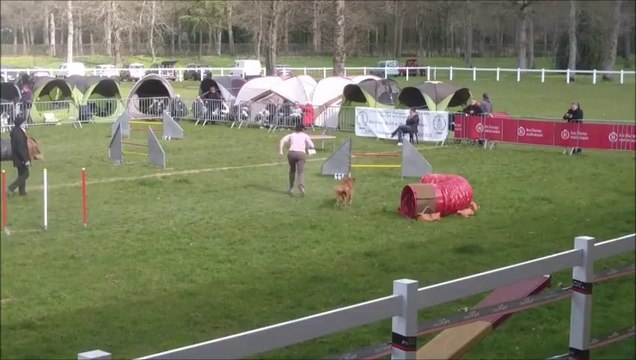 Bullit Concours du Lion d'Angers 2014-03-23