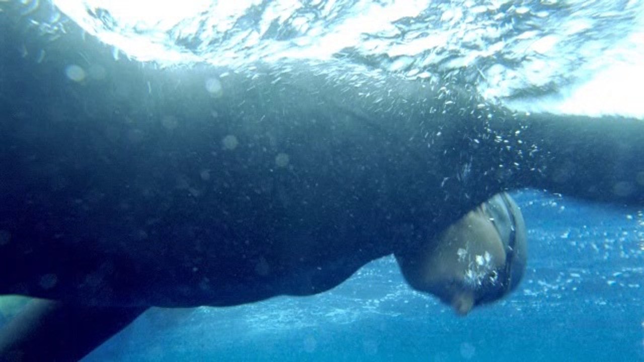 Reklama TV Commercial Opel Ampera 2014