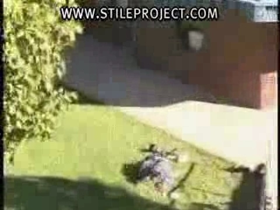 c'est dangereux le roller