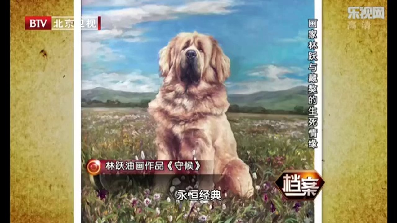20140113  画家林跃与藏獒的生死情缘