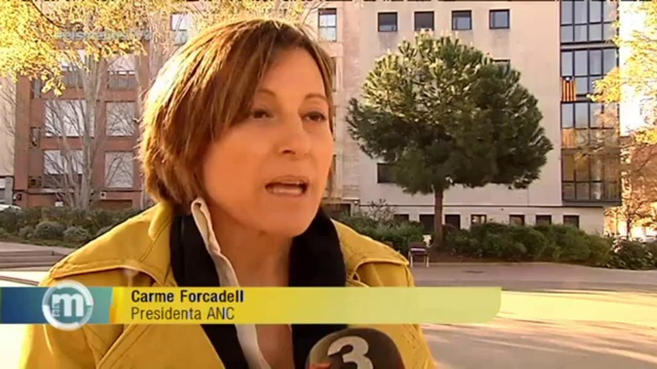 TV3 - Els Matins - Carme Forcadell: "Ens han denunciat per exercir la llibertat d'expressió i aix�