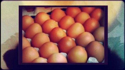 How Many Calories Are In An Egg