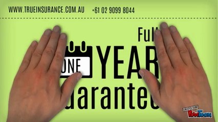 Commercial Business Insurance with True Insurance