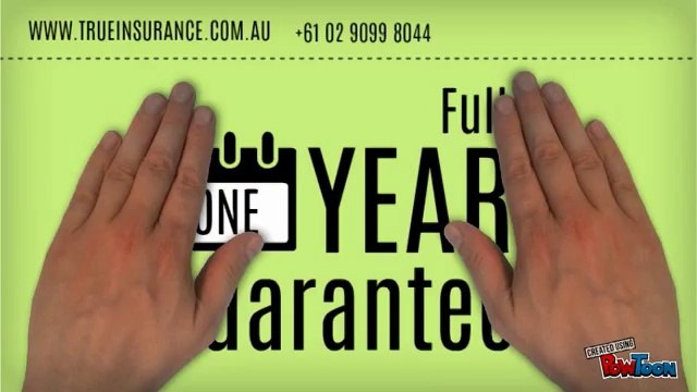 Commercial Business Insurance with True Insurance