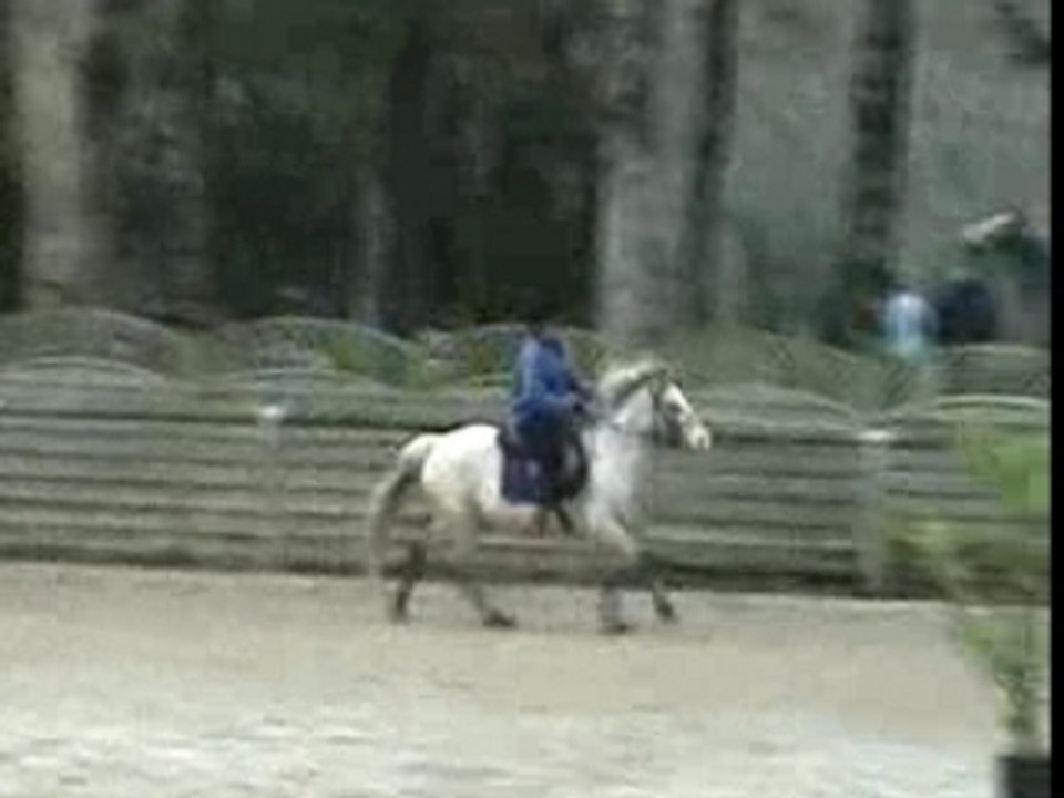 Concours à Hennebont