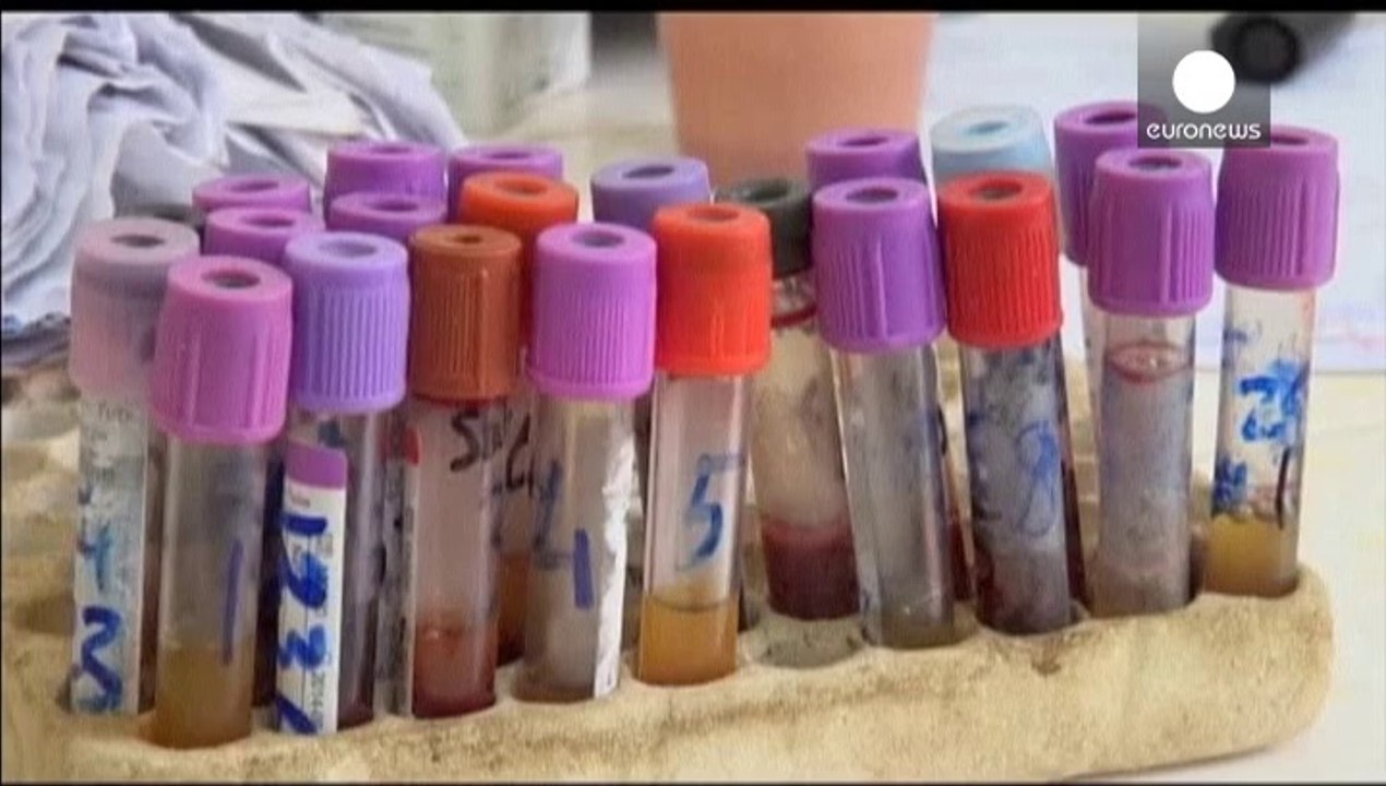 West African nations rush to contain an Ebola outbreak which has killed 62 in Guinea