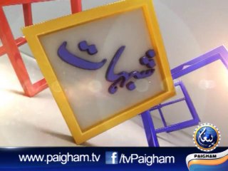 Logic Episode 12 - Paighamtv