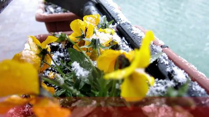 Temperature a picco e neve sul Carpegna, colpo di coda dell'inverno