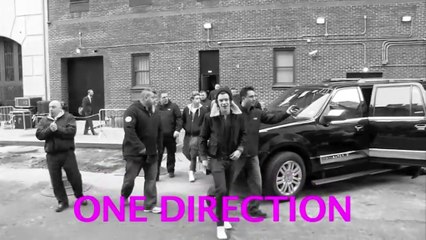 One Direction have enlisted 100 bodyguards for their upcoming stadium tour.