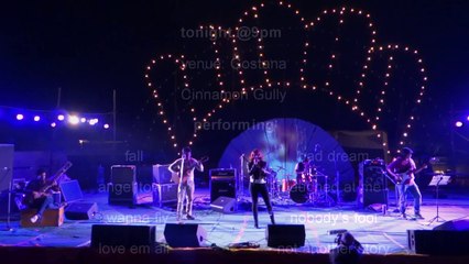 Neha Bhasin's Band 'Cinnamon Gully'