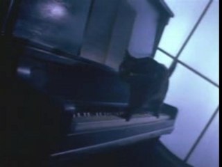 Michael Jackson VS Mozart Montage