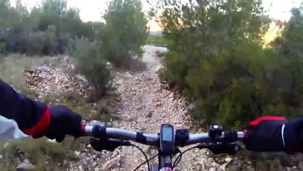 En redescendant du col de la Gardiole (Massif des Calanques)