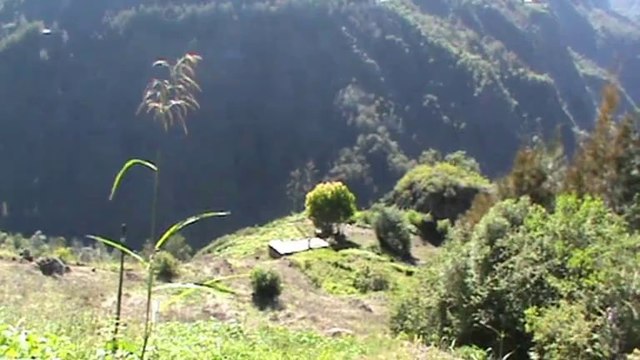 Cirque de Cilaos vues générales