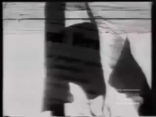 Exaltação e propaganda da Ditadura Militar na Rede Globo (1975)