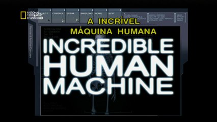 A Incrível Máquina Humana [NatGeo HD]