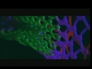 Dave Clarke I Love Techno Outdoor 2003