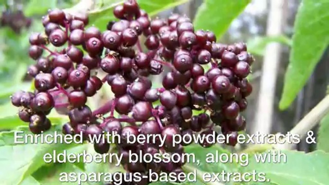 Four Major Popular Health Benefits Of Elderberry