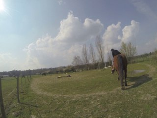 26.03.2014.Tenebra.carriere