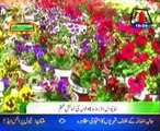 Khanewal Five days Flowers exhibition close