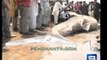 Fishermen caught a shark off Karachi sea that weighs 3300 KG and is 18 feet long