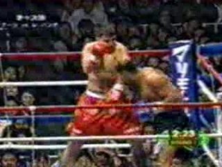 UFC Peter Aerts vs Jerome LeBanner