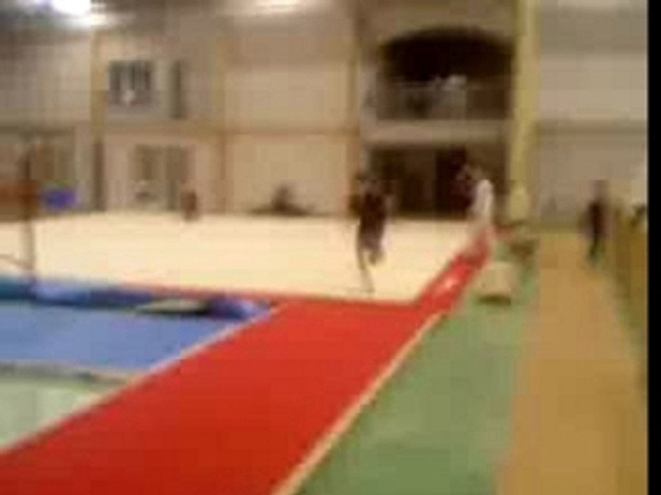 double frontflip